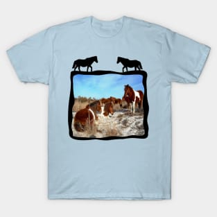 Wild horses, wildlife, gifts, Assateague Island T-Shirt